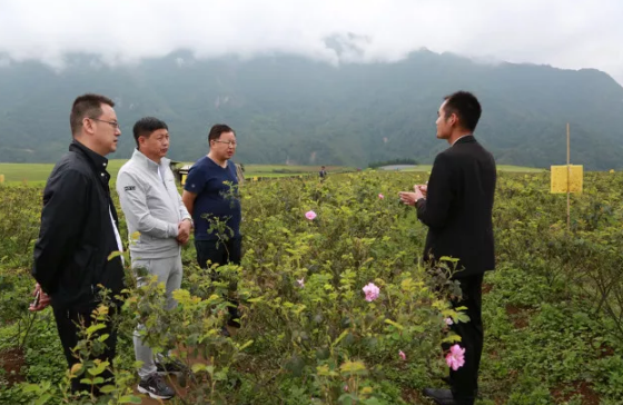 中共攀枝花市東區(qū)委員會(huì)領(lǐng)導(dǎo)及攀鋼集團(tuán)領(lǐng)導(dǎo)一行到恒益集團(tuán)進(jìn)行考察交流