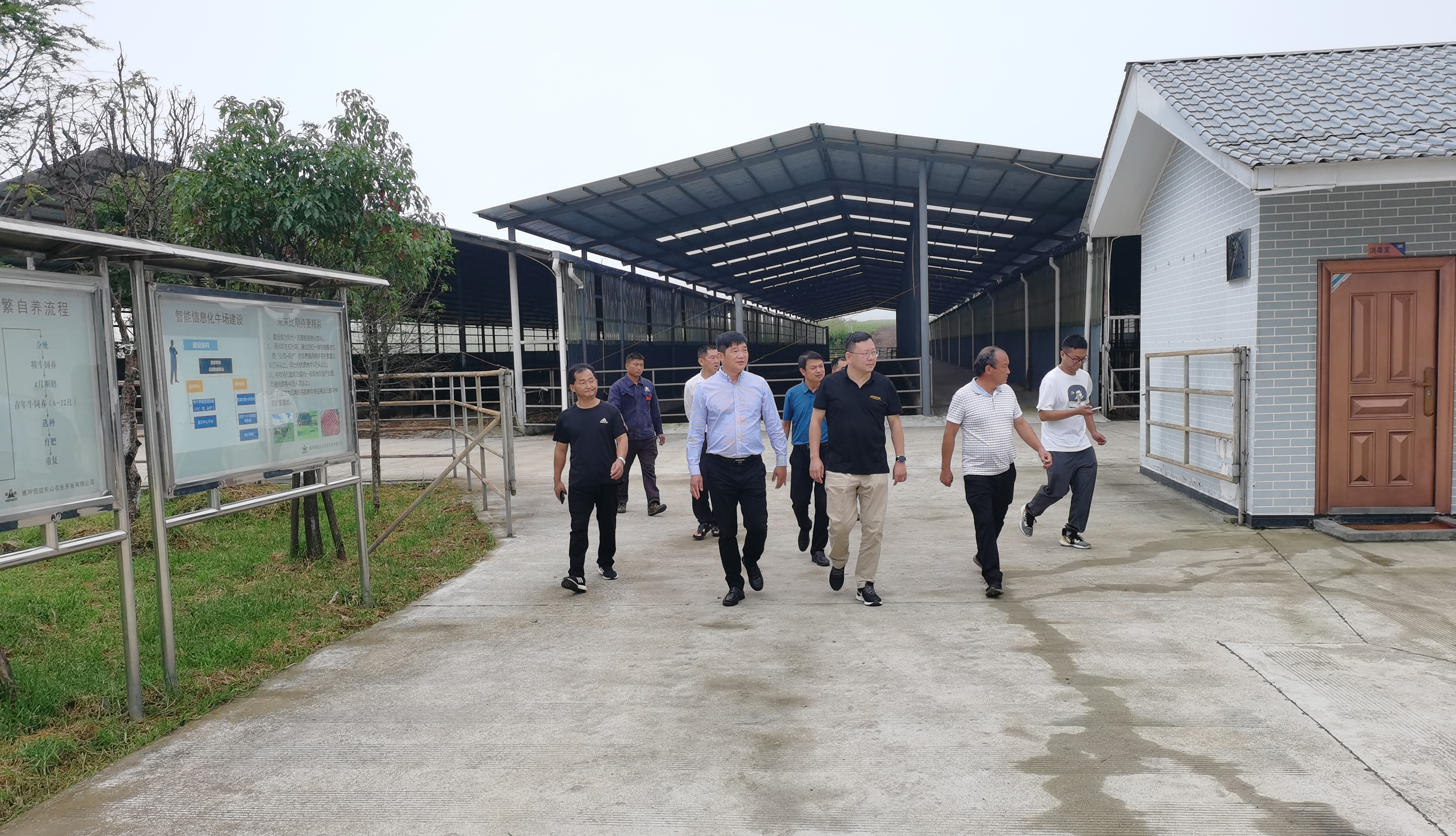 騰沖市政府李青海副市長(zhǎng)一行蒞臨恒益集團(tuán)東山農(nóng)業(yè)公司考察