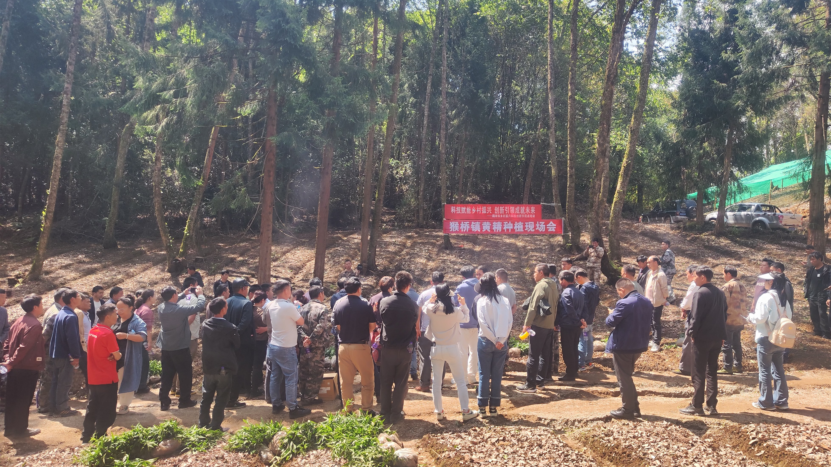 恒益本草源林下黃精種植技術培訓會圓滿舉行